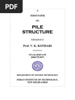 Download Pile Structure PDF by Pulak Debnath SN102746363 doc pdf