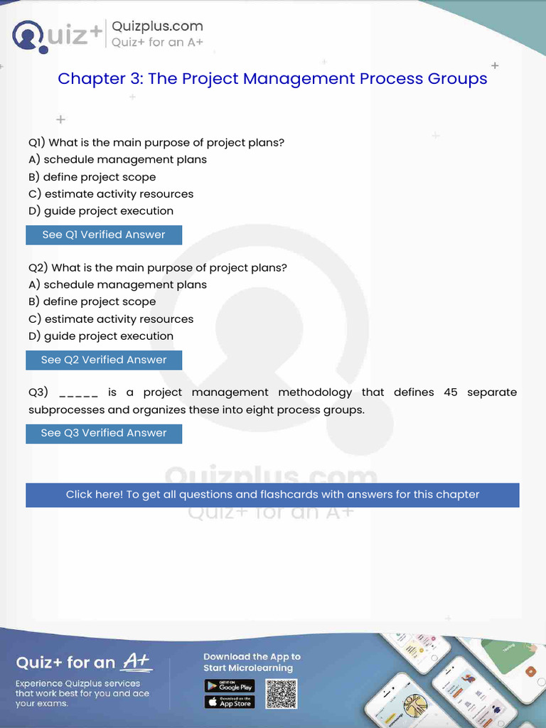 What is the Main Purpose of Project Plans | PDF | Business