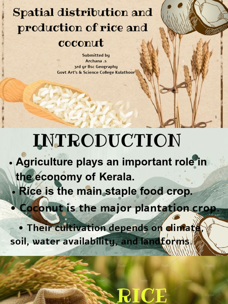 Spatial Distribution and Production of Rice and Coconut by Archana.s ...