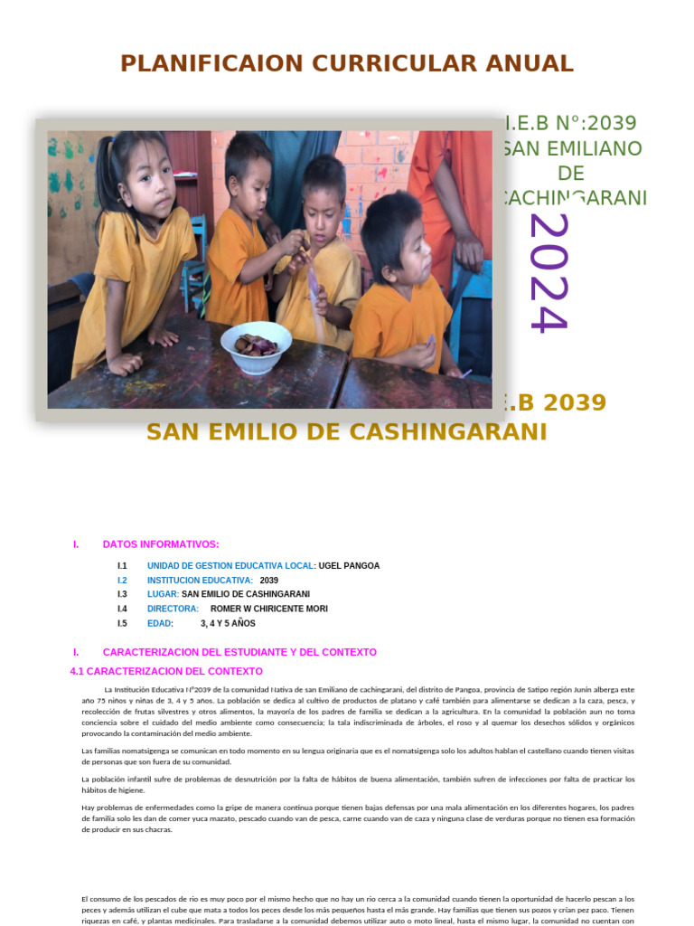PCA EIB COMPLETO leslie cachi | PDF | Plan de estudios | Aprendizaje