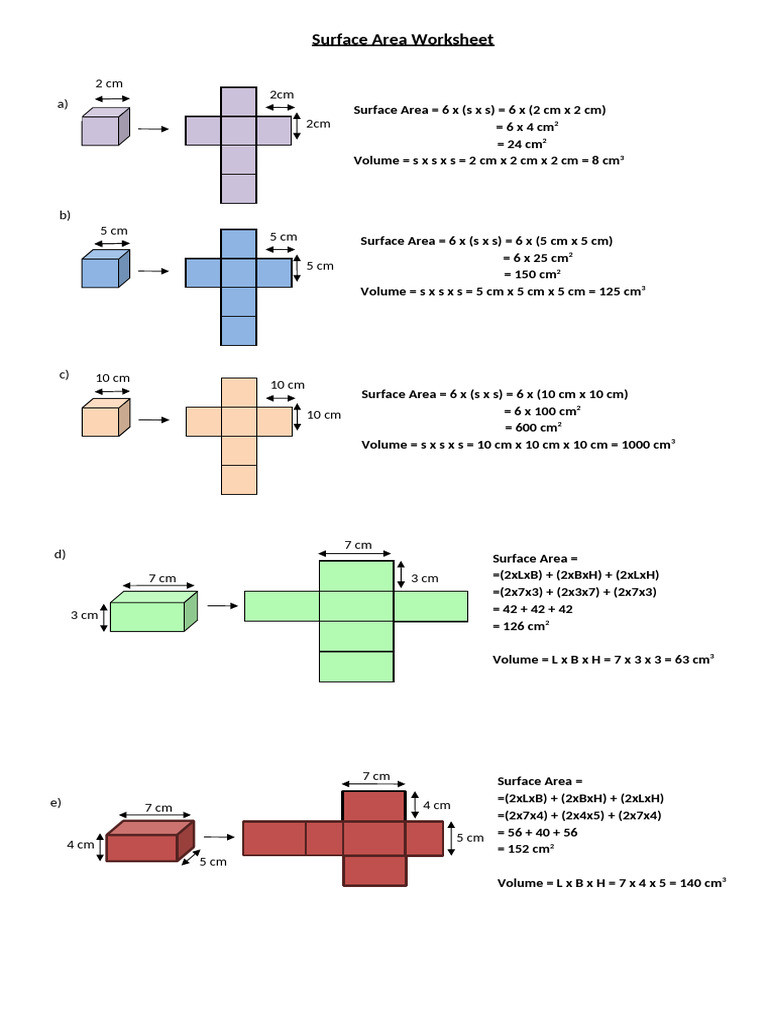 Surface Area Worksheet | PDF