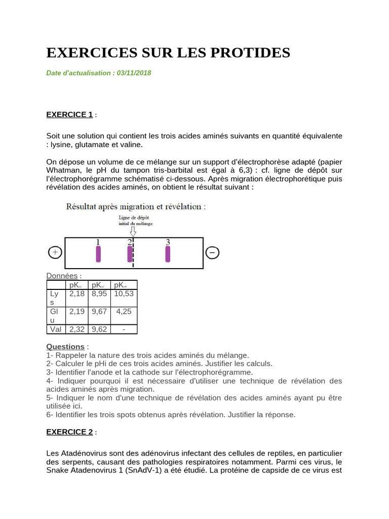 EXERCICES-SUR-LES-PROTIDES | PDF | Structure de la protéine | Hélice alpha