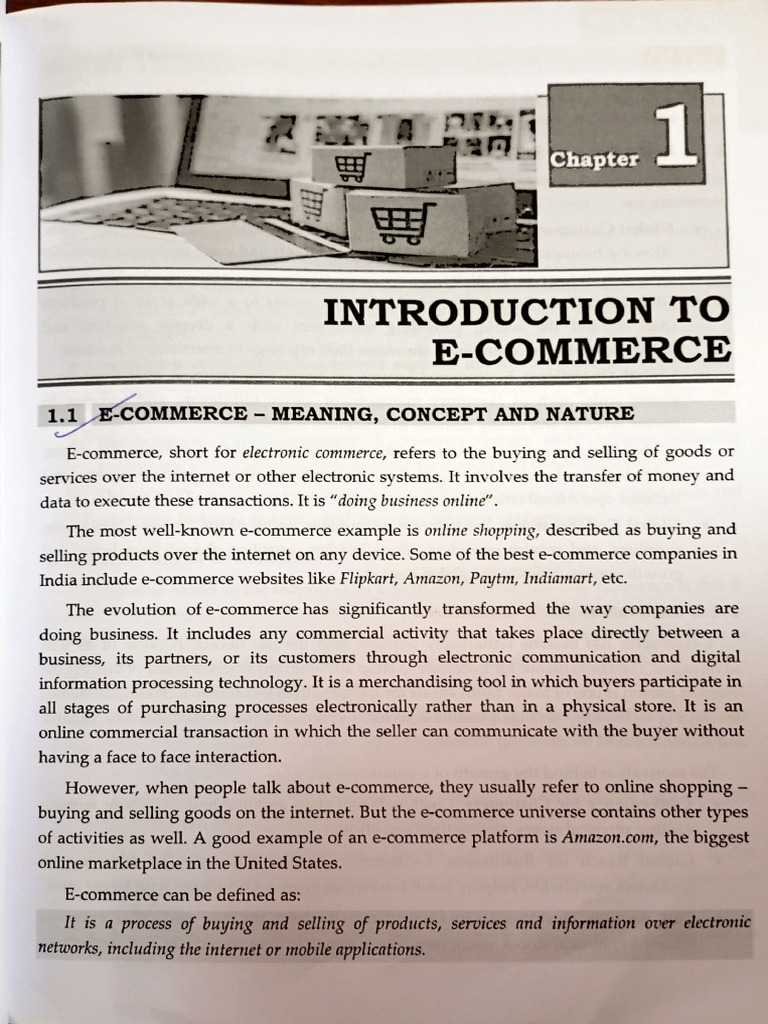 E Commerce | PDF