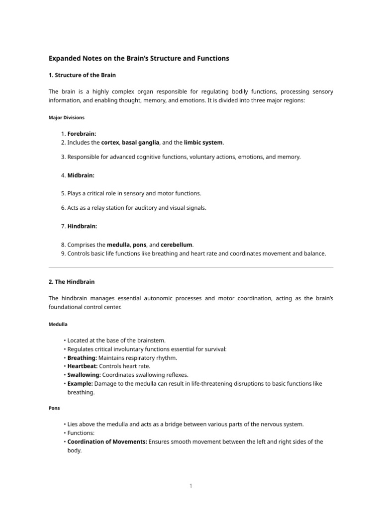 brain_structure_notes | PDF | Brain | Brainstem