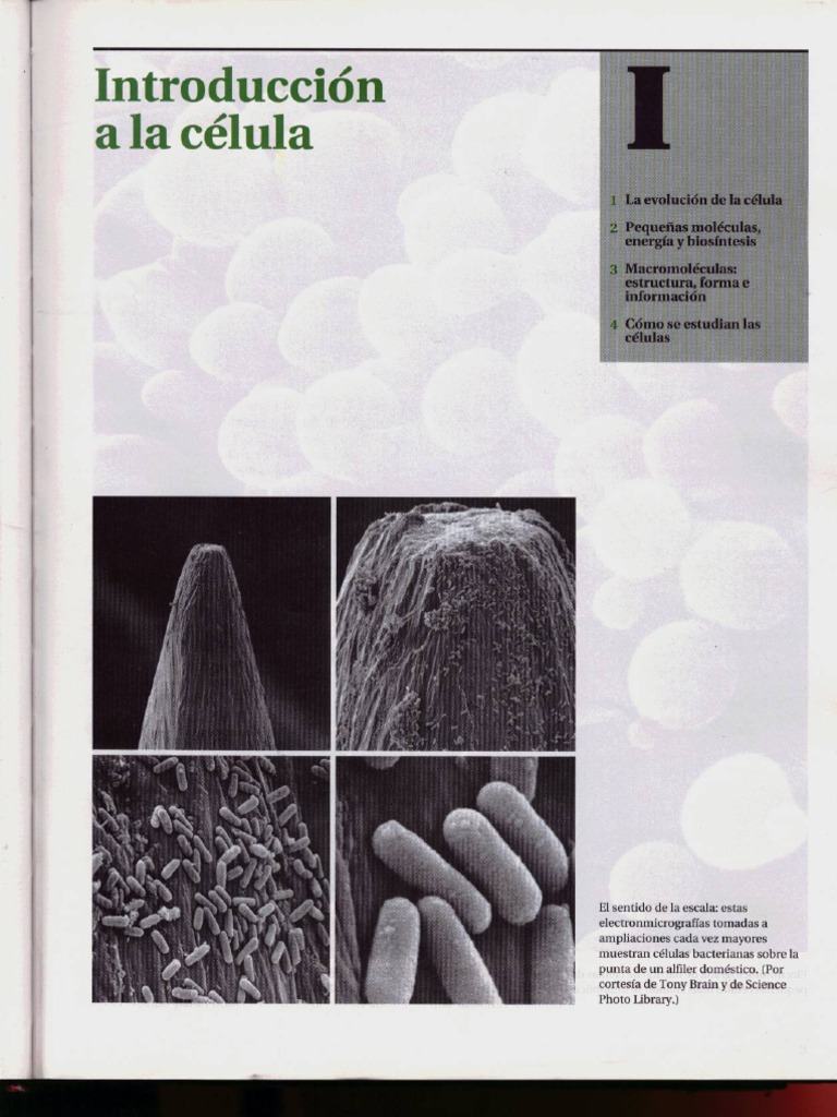 Biologia Molecular Da Célula Alberts Download Portugues