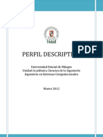 Perfil Descriptivo - Del Ingeniero en Sistemas