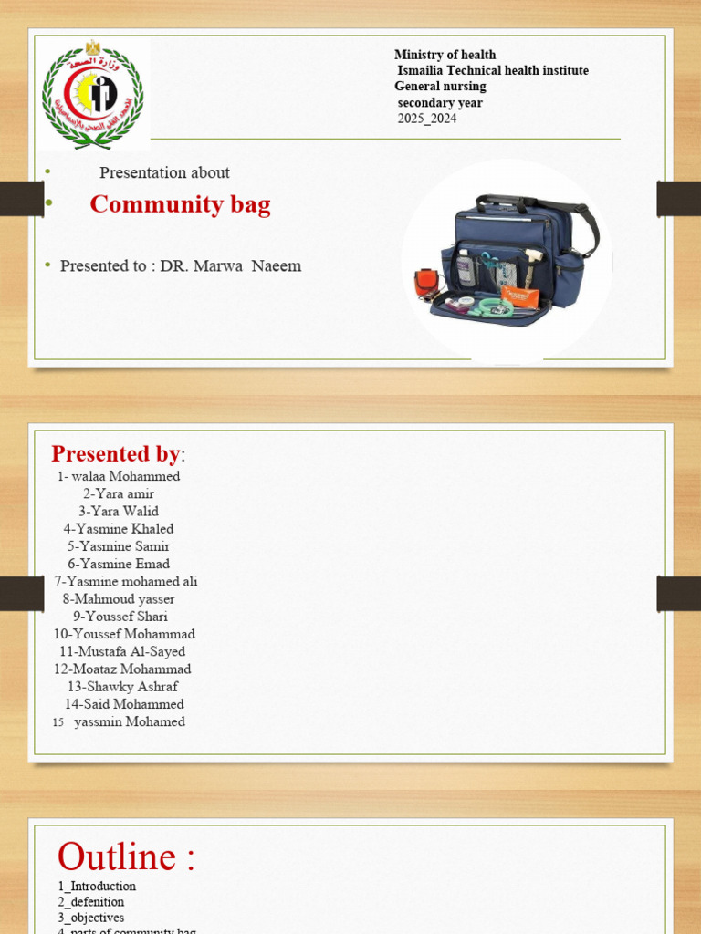 Community Bag 4 | PDF | Health Care | Public Health