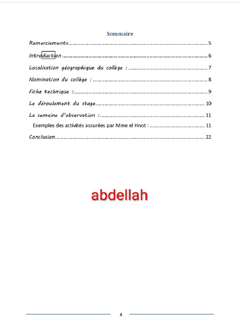 PDF_Rapport de Stage Abdo | PDF
