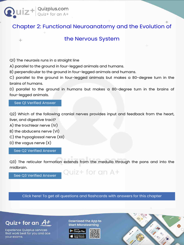 The Neuraxis Runs in a Straight Line | PDF | Brain | Memory
