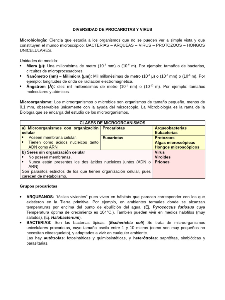 DIVERSIDAD DE PROCARIOTAS Y VIRU1 | PDF | Las bacterias | Archaea