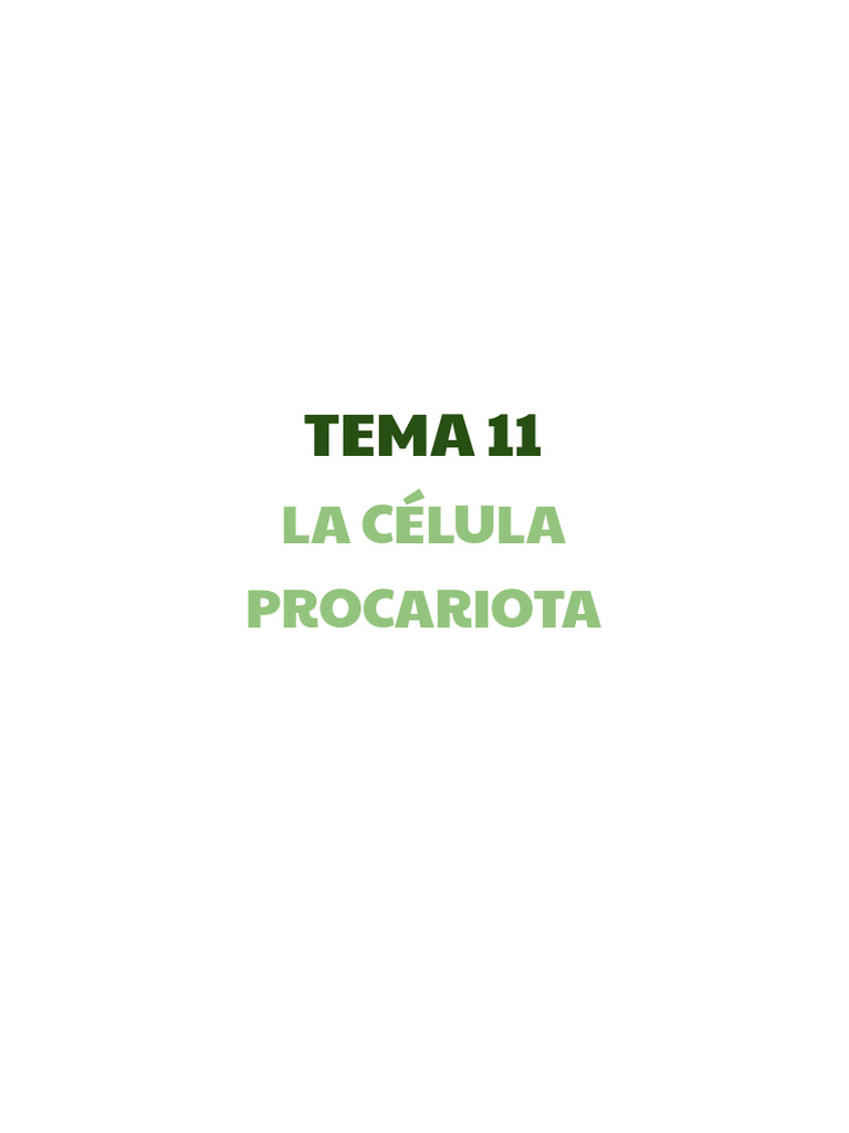 TEMA 12, Celula Procariota | PDF | Biología Celular) | Las bacterias