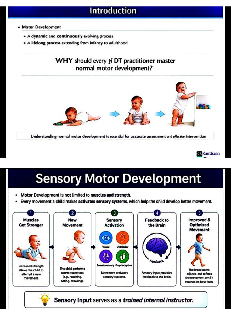 Typical and Atypical Development | PDF