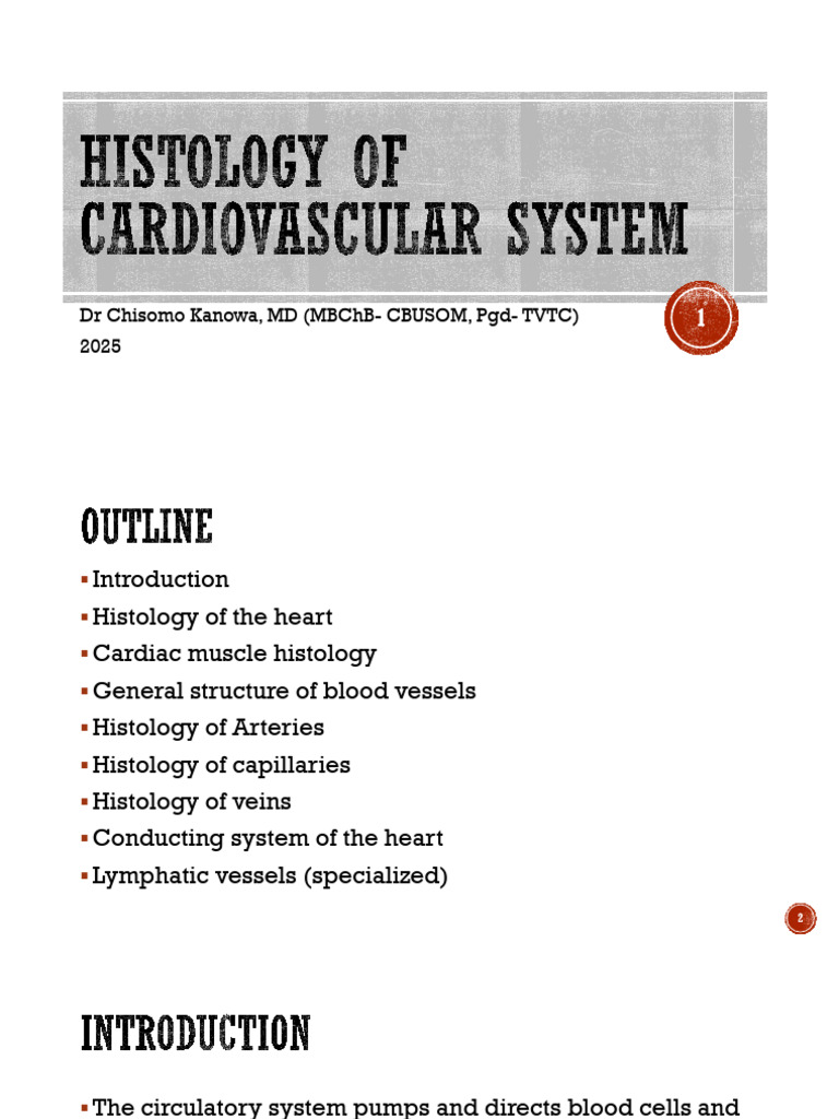 Histology of Cardiovascular System | PDF | Artery | Heart