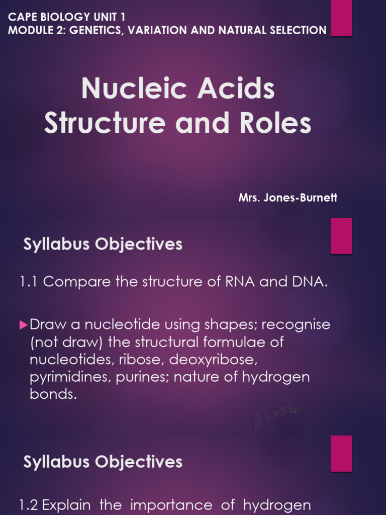 Nucleic Acids Structure and Roles | PDF | Nucleotides | Nucleic Acids