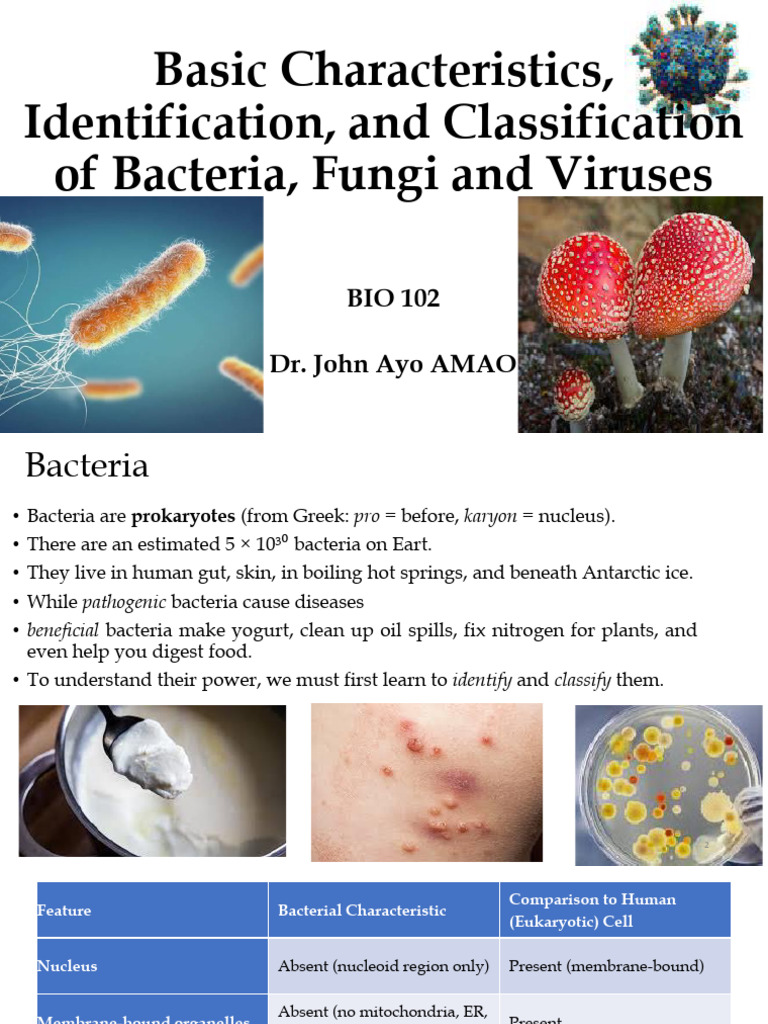 BIO 102 Bacteria Fungi Virus | PDF