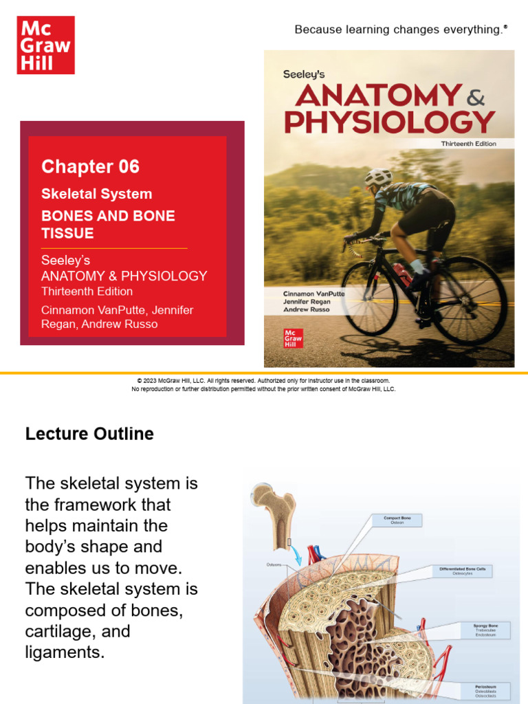 Chapter 6- Skeletal System | PDF | Bone | Osteoblast