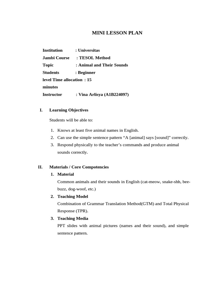 Mini Lesson Plan (Fixed) | PDF