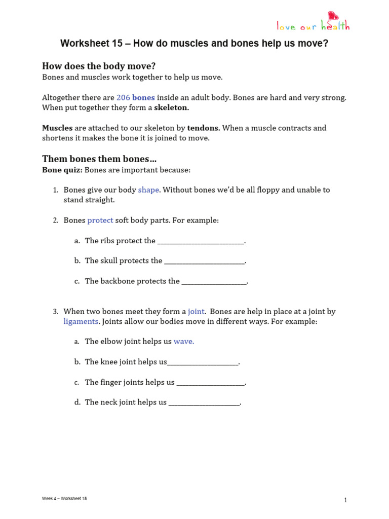 Wk4 - WS15 - How Do Muscles and Bones Help Us Move | PDF