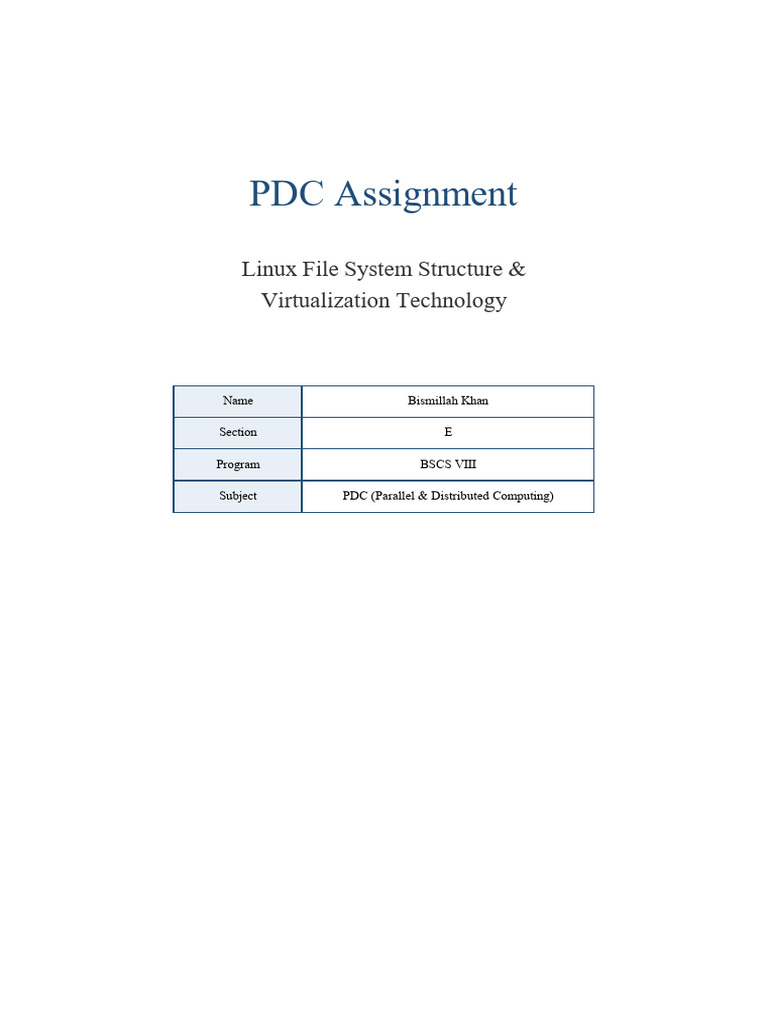 PDC Assignment Bismillah Khan | PDF