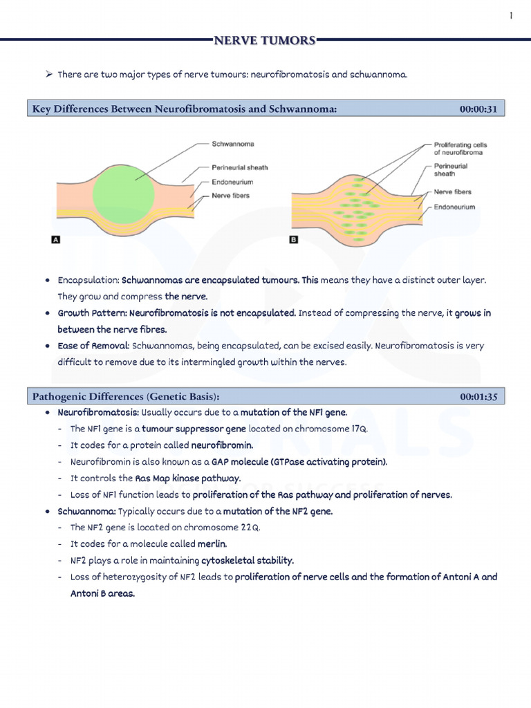 Systemic Pathology Nerves | PDF