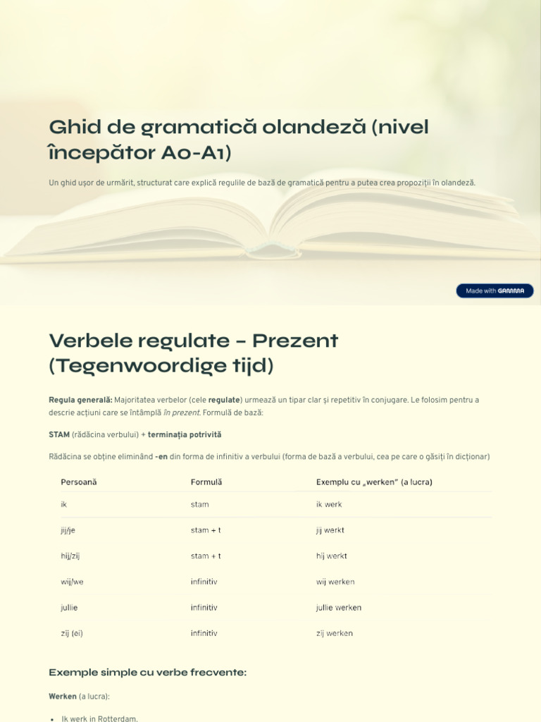 Ghid-de-gramatica-olandeza-nivel-incepator-A0-A1 | PDF