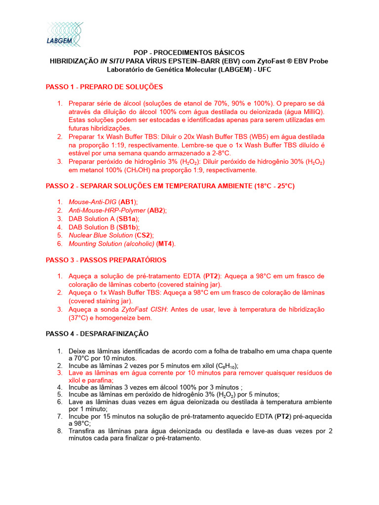 POP - Hibiridização EBV | PDF | Hibridização In Situ