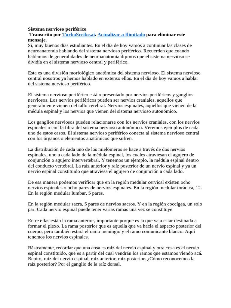 Sistema nervioso periférico | PDF | Mano | Anatomía del miembro inferior