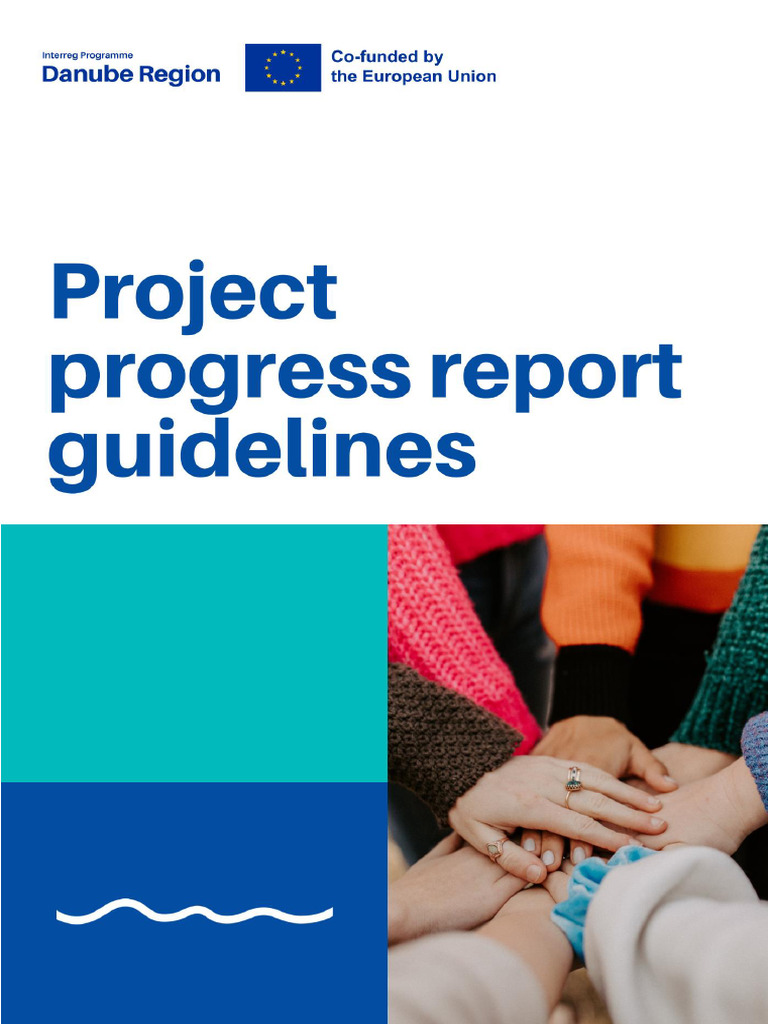 2024 Project Progress Report Guidelines | PDF