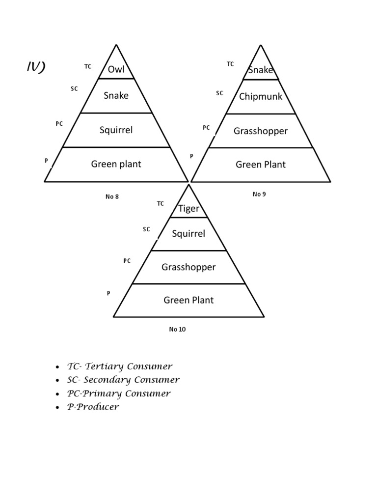 Bilogy Modul | PDF | Organisms | Nature