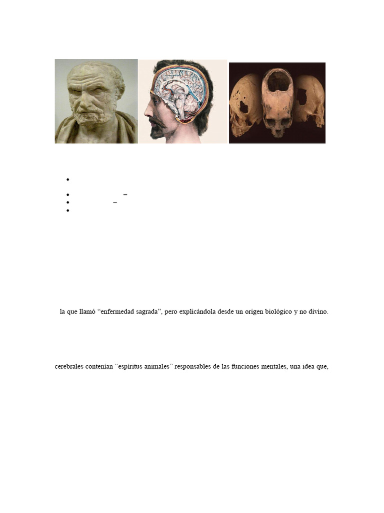Historia y Definición de Neurociencias | PDF | Neurociencia | Cerebro