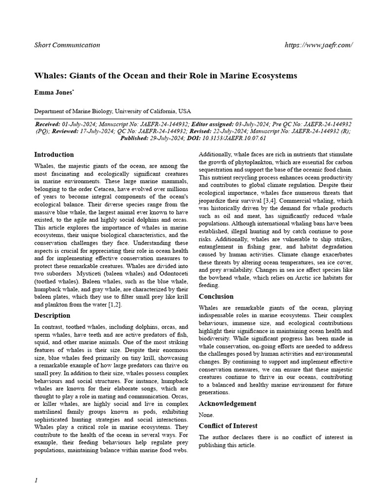 Whales Giants of the Ocean and Their Role in Marine Ecosystems | PDF ...