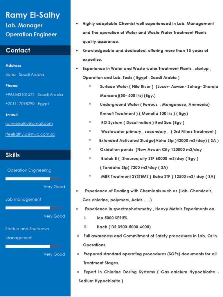 Ramy - ElSalhy CV | PDF | Sewage Treatment | Water Quality