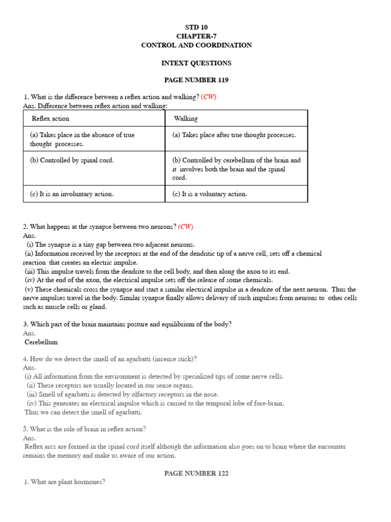 Control and Coordination - Exercise | PDF
