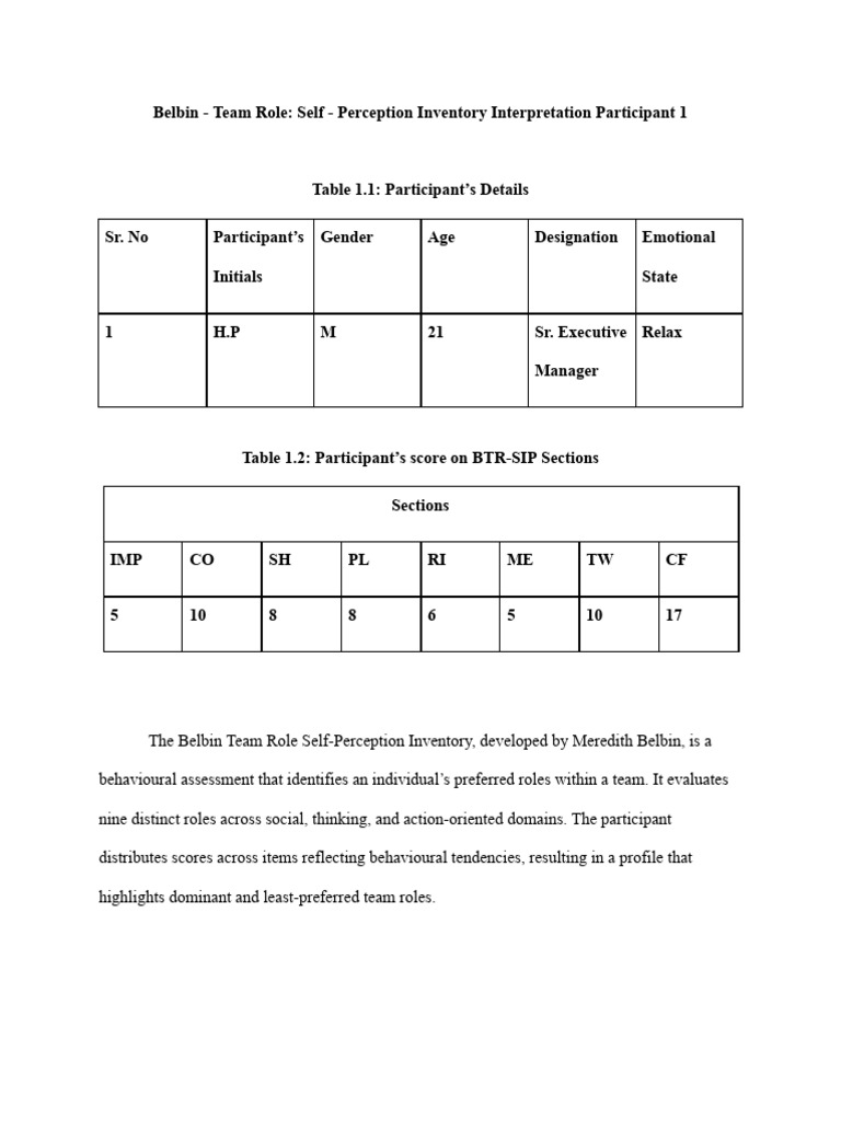Belbin - Team Role Self - Perception Inventory Interpretation | PDF