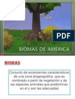 BIOMAS DE AMÉRICA