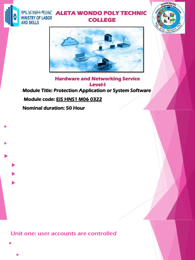 Protect Application Software | PDF | Antivirus Software | Computer Virus
