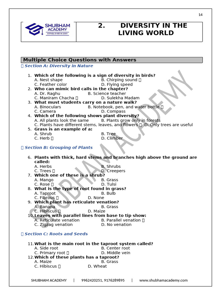 6th CHAPTER 2 Science | PDF | Leaf | Root