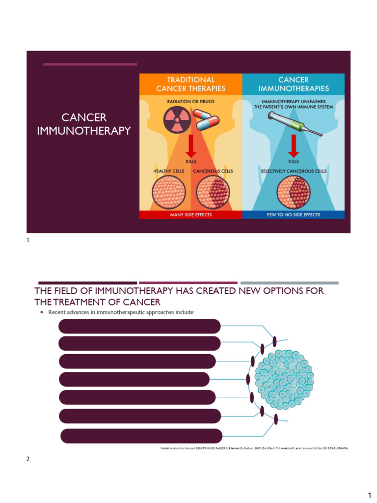 Cancer+Immunotherapy | PDF | Angiogenesis | Vascular Endothelial Growth ...