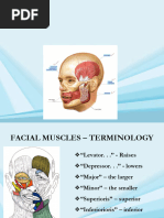 Anatomy and Structure of Lips | PDF | Lip | Human Anatomy