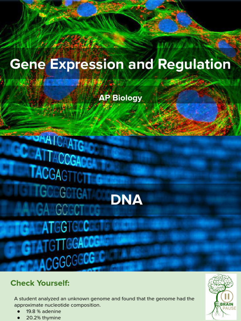 Unit 6_ Gene Expression and Regulation | PDF | Operon | Dna