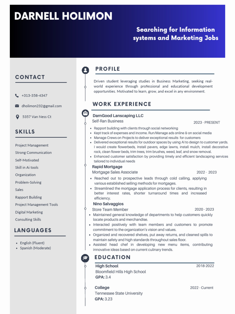 Darnell Holimon information systems and Maketing Professional CV Resume ...