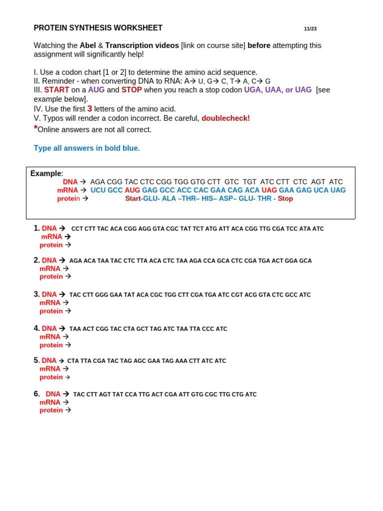 Protein-Synthesis Worksheet (3) | PDF