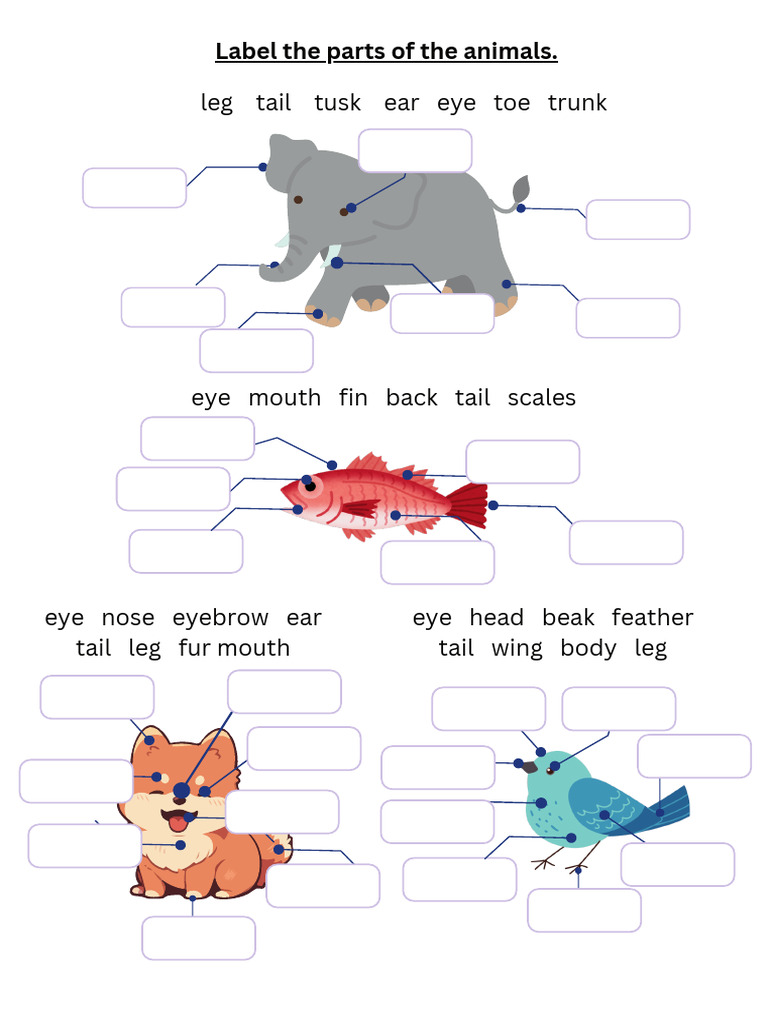 Unit 2 - Animals | PDF