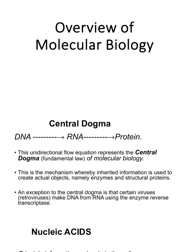 Lecture 2 - Overview of Mol Biology (1) | PDF | Nucleotides | Nucleic Acids