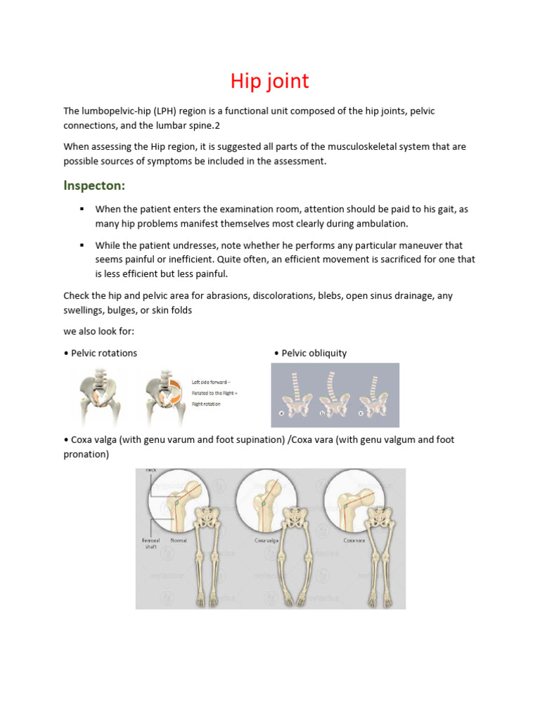Hip Joint.asd | PDF | Anatomical Terms Of Motion | Hip