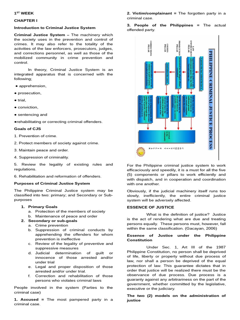 Introduction to Criminal Justice System | PDF