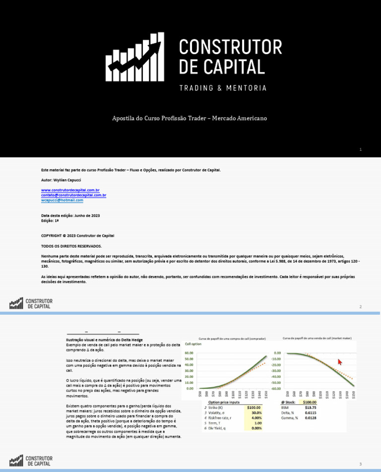 Aula 73 - Delta Hedge - Parte III | PDF