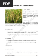 Download Aplikasi Pioc Ciremai Untuk Budidaya Tanaman Padi by pioc_ciremai SN102870669 doc pdf