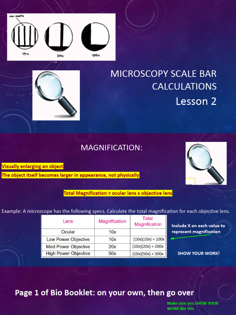 Lesson 2 - Microscopy Scale Bar Calculations | PDF