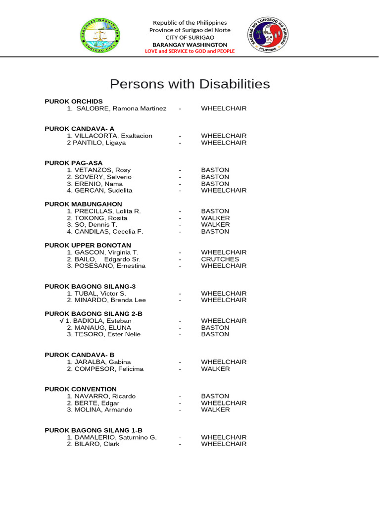 PWD Needs | PDF